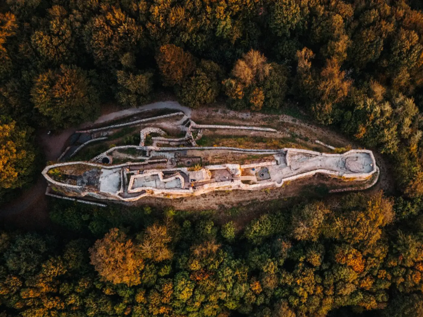 Luftaufnahme senkrecht von oben: eine langgezogene Burgruine mitten im herbstlich gefärbten Wald